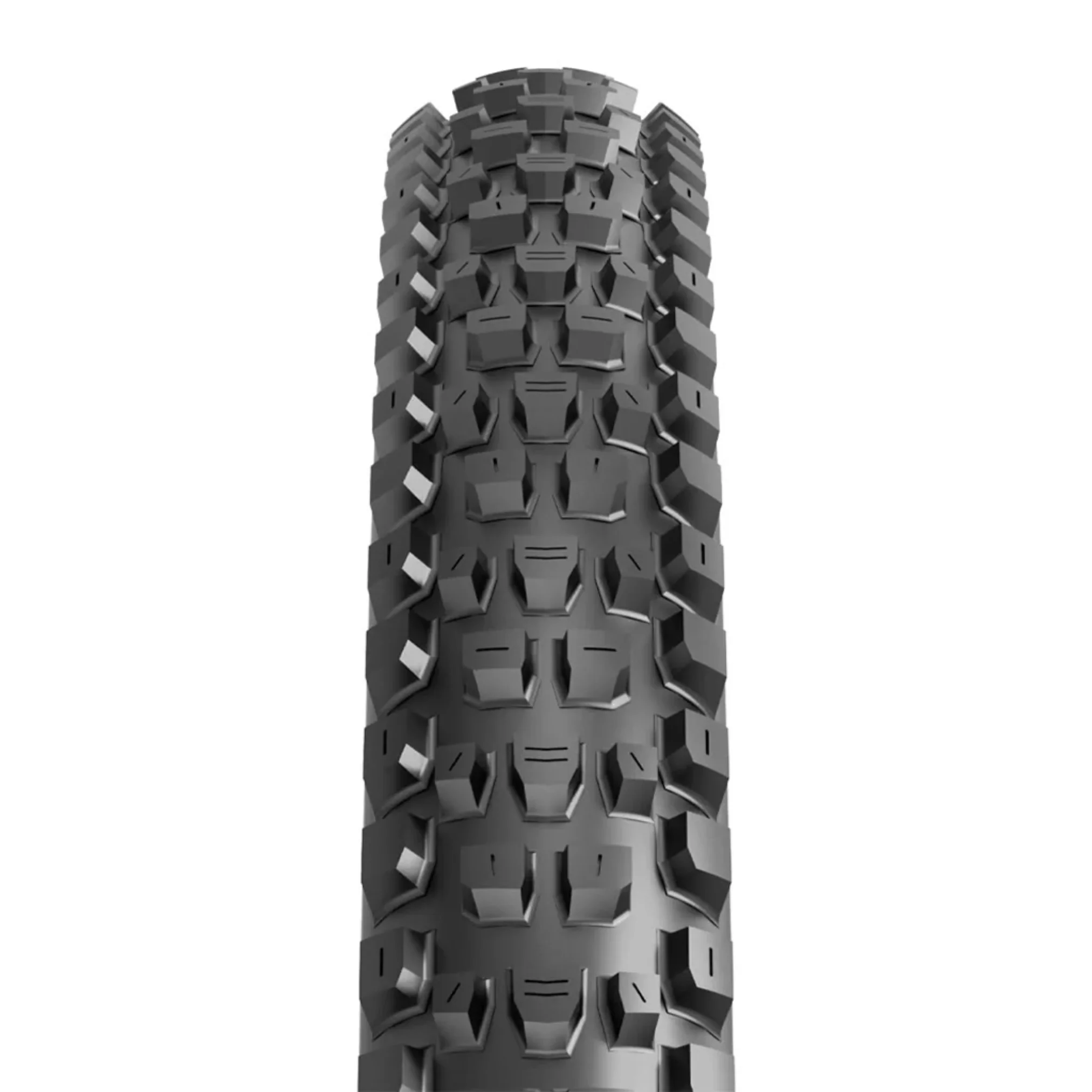 Maxxis Dissector 2 TR EXO+ 3C Tire - Image 2