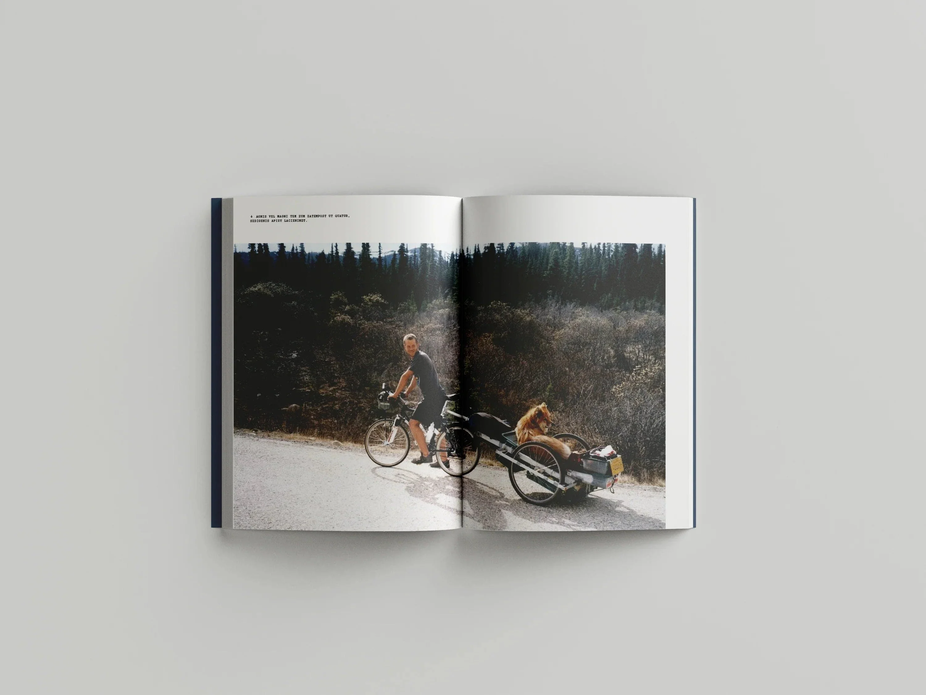 We Will Never Be Here Again - a Book by Svein Tuft - Image 3
