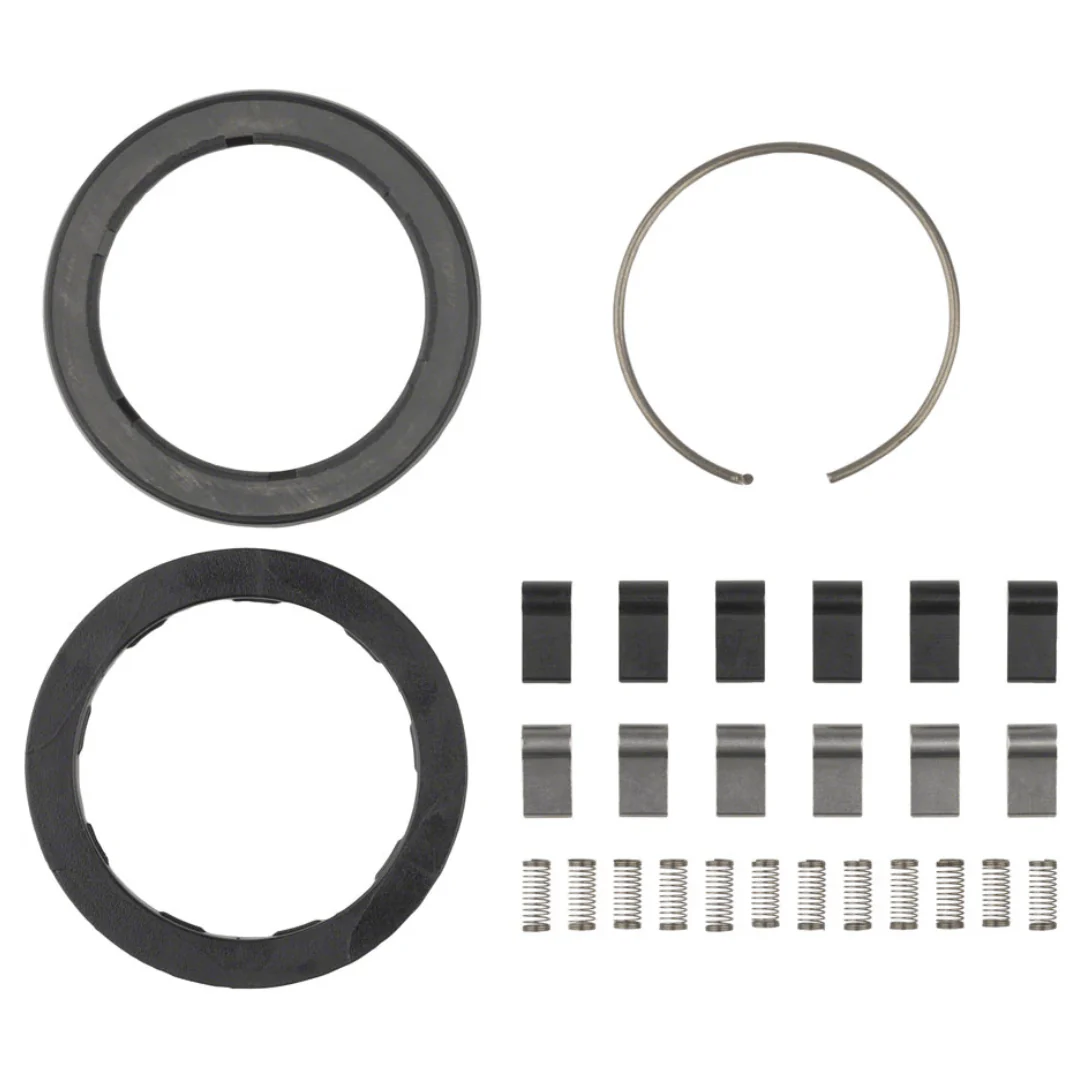 Zipp Spring and Pawl Set